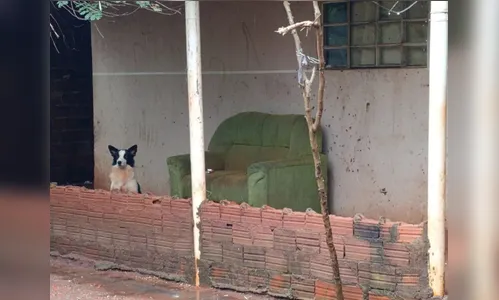 Polícia procura homem que esfaqueou a ex e fugiu sequestrando filha de 8 anos no PR