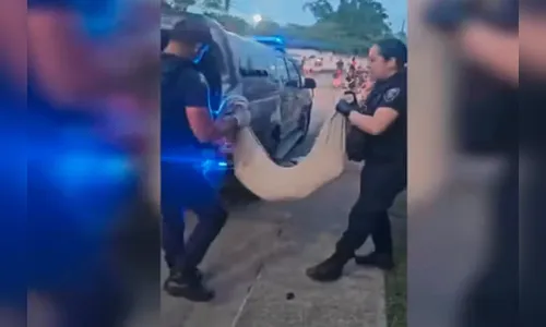 Adolescentes são apreendidos suspeitos de arremessar cão do alto de prédio em SC