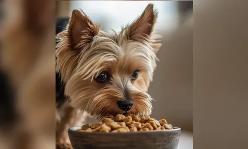 Mulher chama bombeiros para socorrer 'filho' engasgado e equipe descobre que vítima era um cachorro