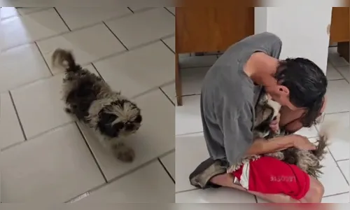 Cadela reconhece tutor em delegacia e desmascara farsa no RS