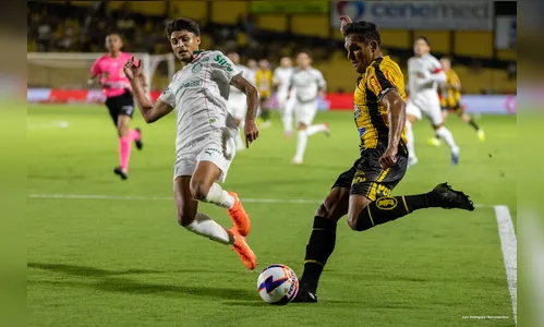 Veja onde assistir Palmeiras x Novorizontino ao vivo nesta quarta-feira