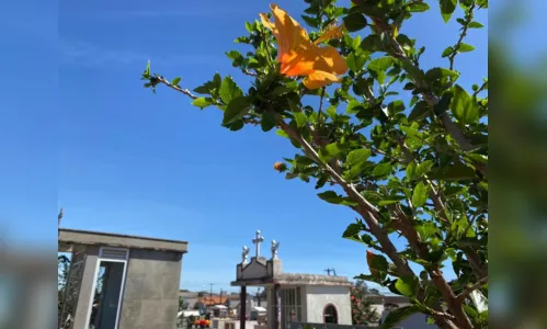 Confira os falecimentos deste sábado (28) em Apucarana