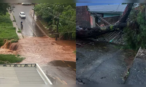 Apucarana registra estragos após forte tempestade nesta terça-feira (17)