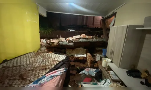 Idosa perde a própria casa durante temporal em Apucarana; 3 cães morreram afogados