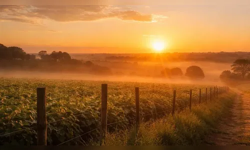Sol predomina em Ivaiporã e tempo segue firme neste sábado