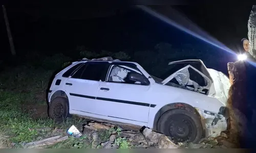 Motorista sofre ferimentos graves após atingir boi na PR-082 em Grandes Rios