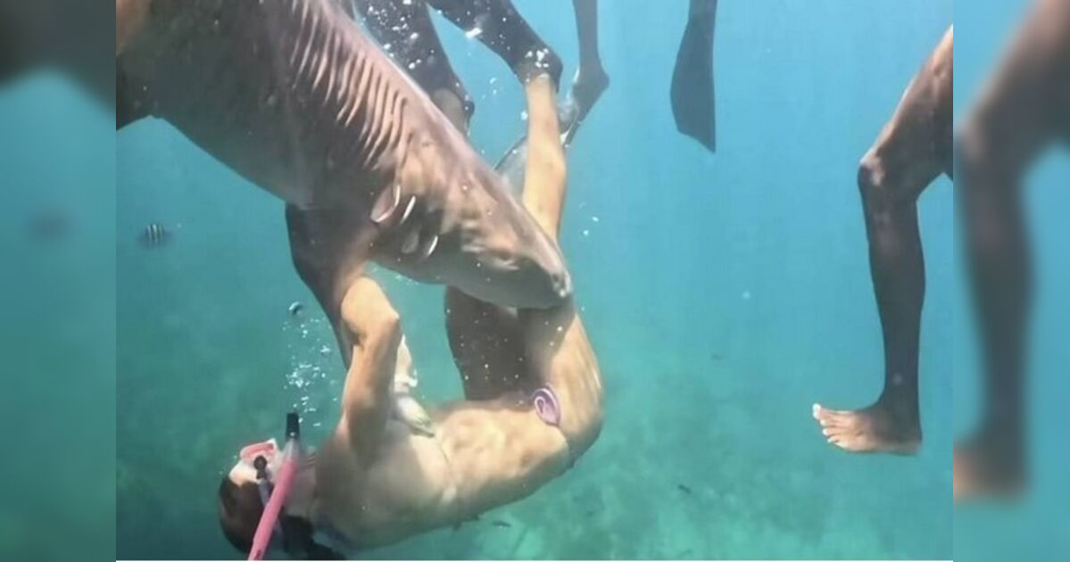 Turista mordida por tubarão em Fernando de Noronha divulga vídeo inédito e volta a mergulhar no local