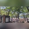 Confira os falecimentos desta quinta-feira (03) em Arapongas
