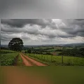 Ivaiporã terá máxima de 25°C e previsão de chuva nesta quarta-feira