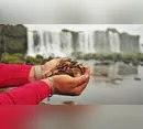 Quase 400 kg de moedas lançadas por turistas são retiradas das Cataratas do Iguaçu