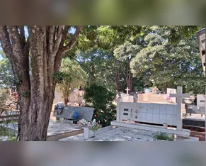 Confira os falecimentos desta segunda-feira (08) em Arapongas