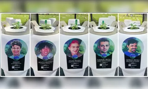 Mudas com cinzas dos Mamonas Assassinas começam a germinar