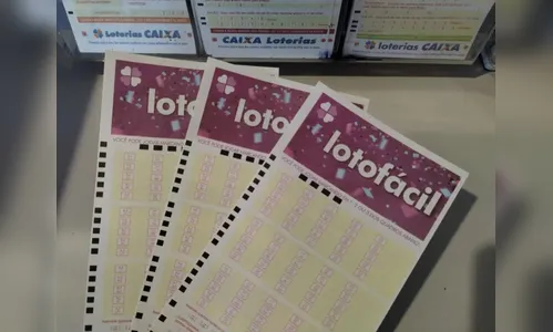 Confira o resultado da Lotofácil concurso 3682 desta segunda-feira (11)