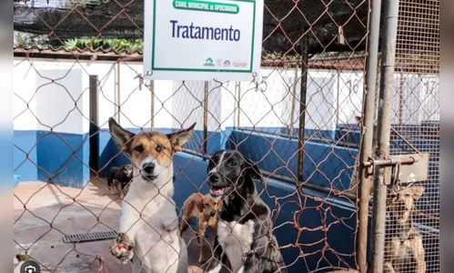 Promotores apuram denúncia de maus-tratos a animais no Cemsa em Apucarana