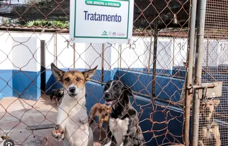 Promotores apuram denúncia de maus-tratos a animais no Cemsa em Apucarana