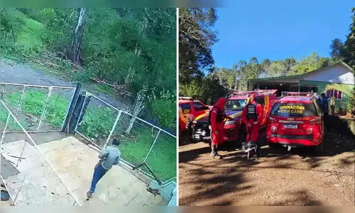 Idoso que desapareceu ao sair para colher pinhão é encontrado morto no interior do Paraná