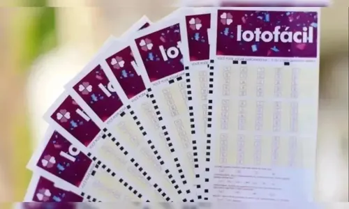 O jogador escolhe de 15 a 20 números entre os 25 disponíveis no volante