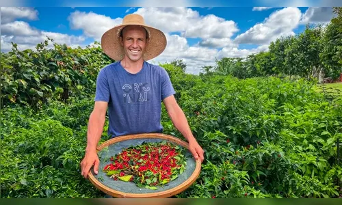 Pimentas abrem novo caminho lucrativo para produtor no Paraná