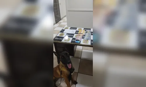 Operação com cão farejador fecha ponto de tráfico em Apucarana