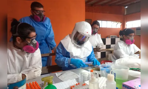O que se sabe sobre os casos de hantavírus no Paraná
