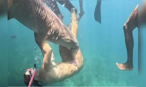 Turista mordida por tubarão em Fernando de Noronha divulga vídeo inédito e volta a mergulhar no local