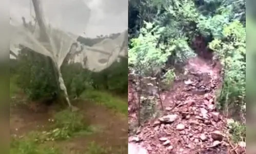 Rastro de destruição levanta suspeita de tornado em SC; Defesa Civil investiga