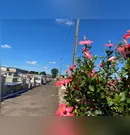 Confira os falecimentos deste sábado (19) em Apucarana