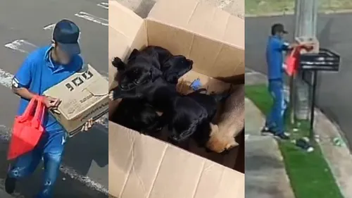 Câmera flagrou homem abandonando animais em lixeira