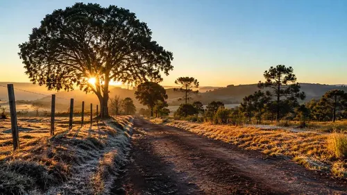 Manhã gelada, sol ao longo do dia e tempo firme