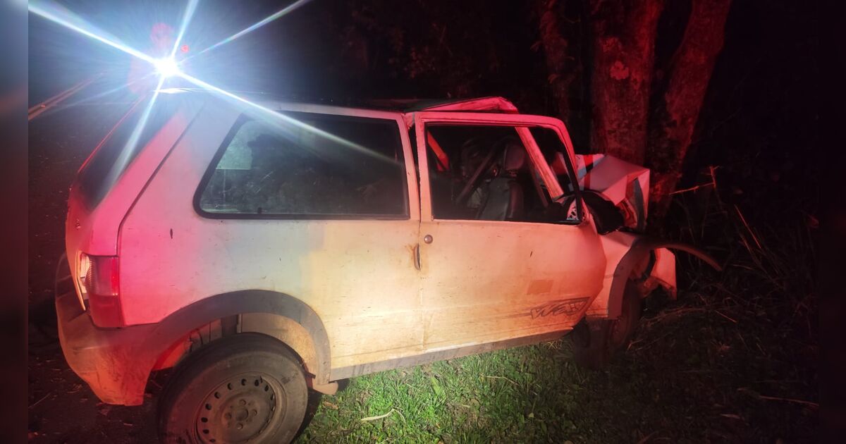 Batida contra árvore na PR-539 deixa motorista morto e dois feridos