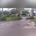 Árvore cai na cabeça de motociclista e garupa após motocicleta invadir área isolada por bombeiros no PR