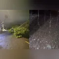 Temporais com granizo e vendavais deixam rastro de estragos no Paraná