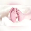 Corpo de bebê é encontrado enterrado no quintal de casa em Ponta Grossa (PR)