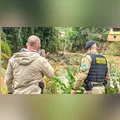 Mais de 23 mil pessoas são afetadas pelas chuvas no Paraná; 10 municípios estão em situação de emergência