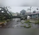Temporal derrubou mais de 600 árvores e afetou 90% da rede elétrica em Apucarana