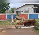 Copel e Prefeitura percorrem áreas rurais para religação de energia em Apucarana