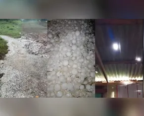 Municípios de SC decretam emergência após tempestades de granizo gigante