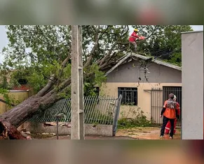 Em 7 dias, ao menos 10 pessoas já fraturaram crânio ou coluna em Apucarana ao cair do telhado