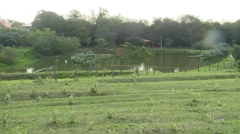 Mãe joga três filhos em represa e bebê morre afogada em Presidente Prudente (SP)