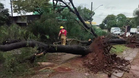 Bombeiros realizam treinamento em Apucarana para preparar resposta a eventos climáticos extremos