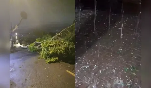 Temporais com granizo e vendavais deixam rastro de estragos no Paraná