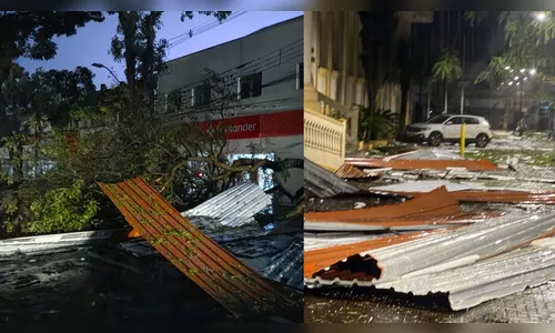 FOTOS: Temporal com ventos de 125 km/h deixa rastro de destruição em Apucarana