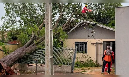 Em 7 dias, ao menos 10 pessoas já fraturaram crânio ou coluna em Apucarana ao cair do telhado