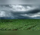 Paraná entra em alerta para tempestades a partir deste domingo (11)