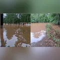 Fortes chuvas causam alagamentos e bloqueiam estradas rurais em Rio Branco do Ivaí