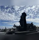 Confira os falecimentos desta segunda-feira (12) em Apucarana