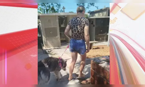 Após fugir de casa, cachorra é encontrada no túmulo do pai da tutora