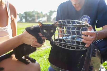 A iniciativa leva castração gratuita e palestras sobre cuidados com os animais à população de baixa renda em todas as regiões do Paraná.