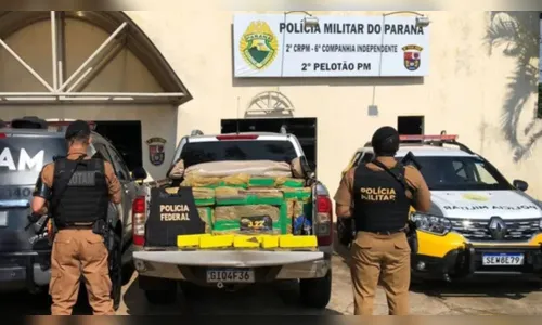 Mais de três toneladas de drogas foram apreendidas na região em 2024