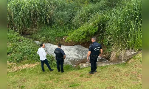 Poluição em nascente de lago em Apucarana será investigada pela Sema
